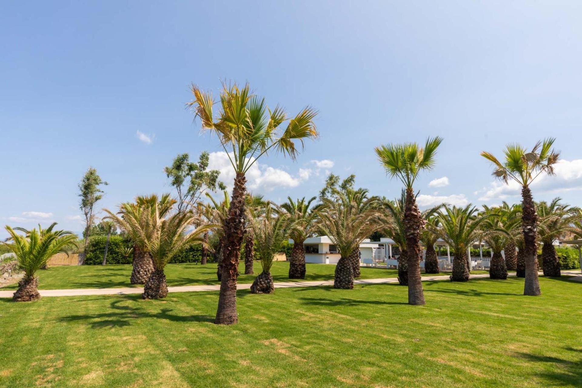 Il Cormorano Resort&Spa Grisolia Esterno foto