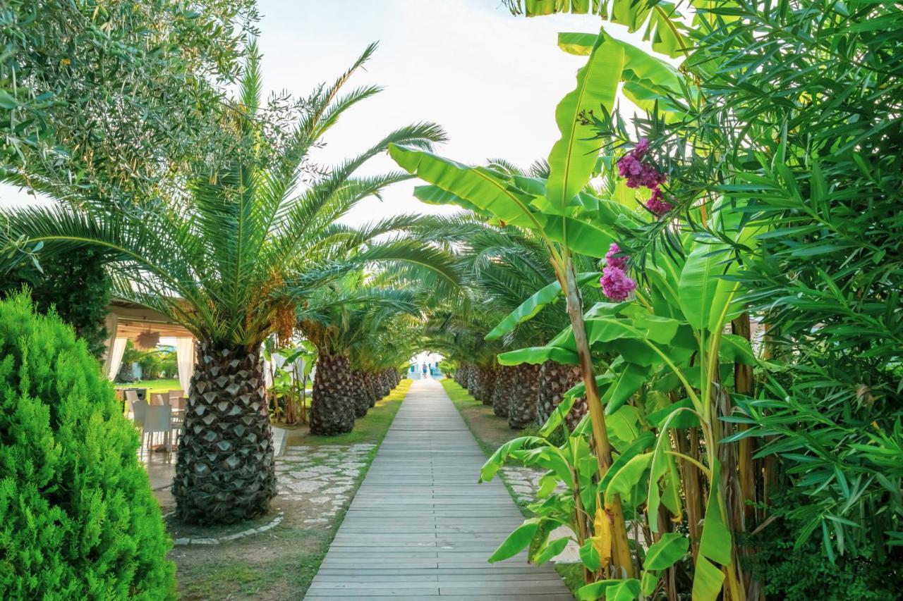 Il Cormorano Resort&Spa Grisolia Esterno foto